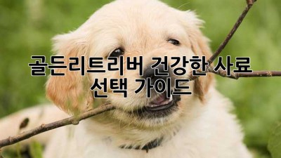 골든리트리버 건강한 사료 선택 가이드
