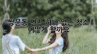 쌍문동 먼지 하나 없는 청소, 어떻게 할까요? ✨