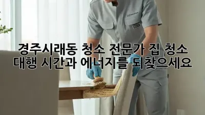 경주시래동 청소 전문가: 집 청소 대행, 시간과 에너지를 되찾으세요!